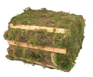 Natural Moss Green Bale, 28 Pounds